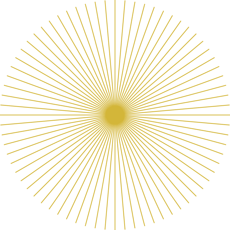 Spine- the spiritual network
