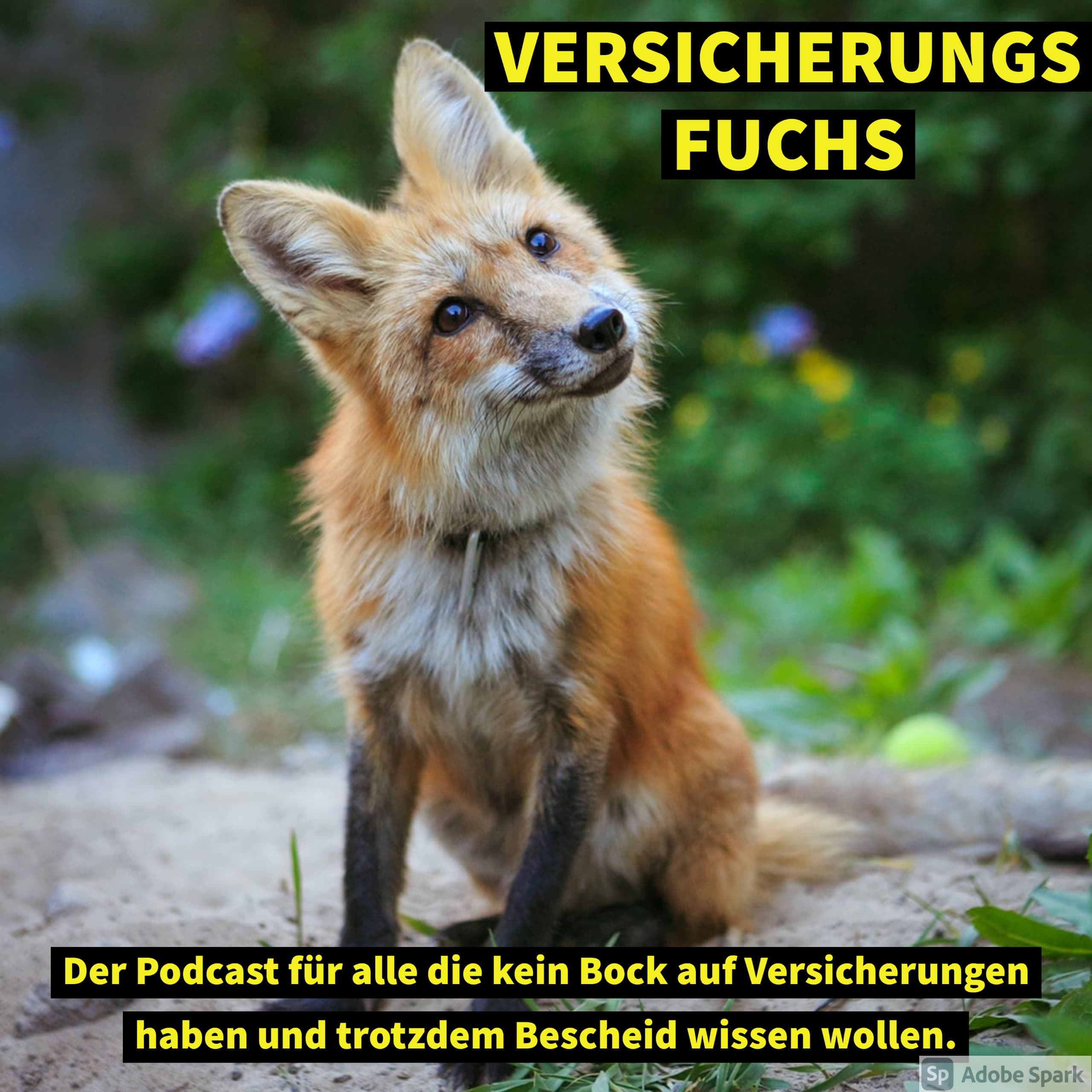 Versicherungs Fuchs